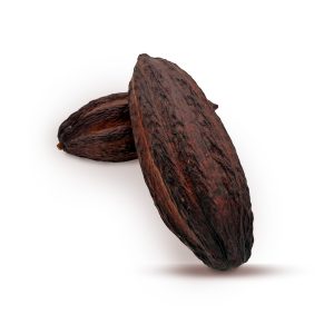 Cacao