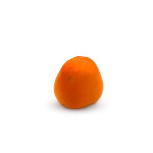 Kaki